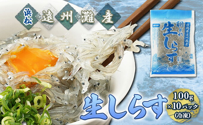 【ふるさと納税】【数量限定】浜松生しらす（冷凍）100g×10パック　【魚貝類・しらす・数量限定・生しらす・冷凍・10袋】　お届け：※お届けに1ヶ月前後かかる場合がございます。