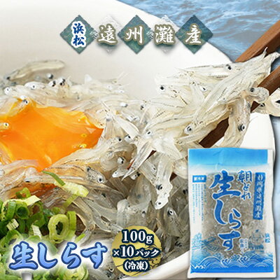 【ふるさと納税】【数量限定】浜松生しらす（冷凍）100g×10パック　【魚貝類・しらす・数量限定・生しらす・冷凍・10袋】