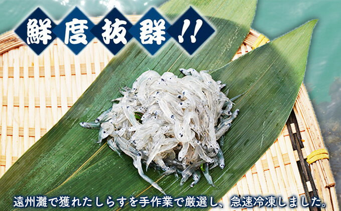 【ふるさと納税】【数量限定】浜松生しらす（冷凍）100g×10パック　【魚貝類・しらす・数量限定・生しらす・冷凍・10袋】　お届け：※お届けに1ヶ月前後かかる場合がございます。 3