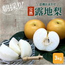 【ふるさと納税】【8月下旬より順次配送】朝採り!品種おまかせ完熟露地梨3kg【配送不可:離島】 ナシ 果物 フルーツ お届け:2025年8月下旬~2025年9月中旬