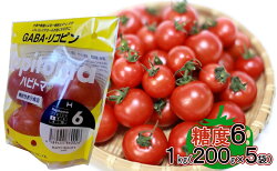 【ふるさと納税】機能性表示食品 Hapitoma ハピトマ 糖度6（1kg）【配送不可：離島】　【 野菜 ベジタブル ダブル成分 GABA リコピン ストレス 緩和 LDLコレステロール 低下 機能 】･･･ 画像1