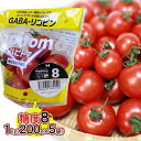 【ふるさと納税】機能性表示食品 Hapitoma ハピトマ 糖度8(1kg)【配送不可:離島】 野菜 ベジタブル ダブル成分 GABA リコピン ストレス 緩和 LDLコレステロール 低下