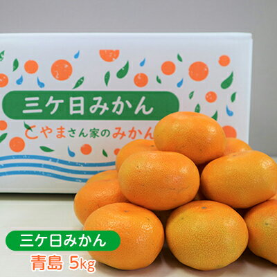 【ふるさと納税】先行予約 青島みかん M~2Lサイズ サイズ混在 5kg 三ヶ日みかん 果物 くだもの フルーツ 旬の果物 旬のフルーツ みかん 蜜柑 ミカン 三ヶ日 青島 柑橘 柑橘類 静岡 静岡県 浜松市 お届け:2025年12月中旬~2026年2月上旬
