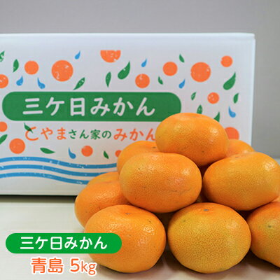 8位! 口コミ数「3件」評価「4.67」【2024年12月下旬より順次発送】三ヶ日 みかん 青島 5kg 光センサー選果 三ヶ日みかん　【 ミカン フルーツ 果物 静岡 デザート ･･･ 