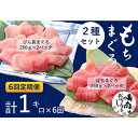【ふるさと納税】【6回定期便】バチマグロ切落し×びん長マグロ中トロ切落し 合計1kg(各250g×2パック)×6回【配送不可:離島】 天然マグロ 2種セット 赤身 サッパリ 濃厚 お届け:※寄附金のご入金確認の翌月以降、初回発送から6ヶ月連続でお届けします。