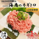 【ふるさと納税】【12回定期便】SANKO海商のネギトロ 1kg（250g×4パック）×12回【配送不可：離島】　【定期便・ 魚の加工品 ネギトロ丼 魚介類 手巻き寿司 】　お届け：※寄附金のご入金確認の翌月以降、初回発送から12ヶ月連続でお届けします。･･･