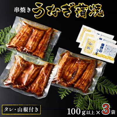 【ふるさと納税】〈丸半堀江商店〉浜名湖産 串焼きうなぎ蒲焼 3袋（100g以上×3袋・タレ・山椒付き）【配送不可：離島】 国産 真空パック　【 つまみ 晩酌 お酒のあて 肴 鰻の串焼き 鰻の蒲焼 】