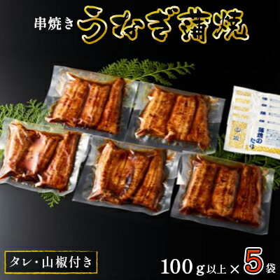 〈丸半堀江商店〉浜名湖産 串焼きうなぎ蒲焼 5袋（100g以上×5袋・タレ・山椒付き）【配送不可：離島】 国産 真空パック　【 つまみ 晩酌 お酒のあて 肴 鰻の串焼き 鰻の蒲焼 】