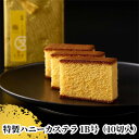 【ふるさと納税】〈浜松文明堂〉伝統の一品 文明堂特製のハニーカステラ 極【スイーツ 和菓子 洋菓子 ギフト 贈り物】 お菓子 和スイーツ お茶菓子 おやつ 甘いもの