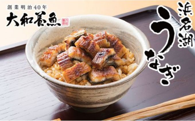 【ふるさと納税】【訳あり】大和養魚の浜名湖うなぎ蒲焼きざみ（60g×10）蒲焼のたれセット【配送不可：離島】国産 浜松 小分け　【 鰻丼 う巻き お茶漬け ひつまぶし きざみうなぎ 】　お届け：※2024年5月6日以降順次発送となります。