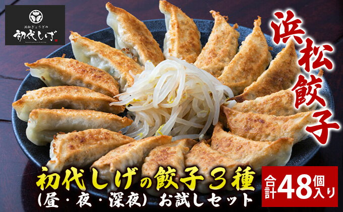 【静岡県浜松市】　【ふるさと納税】浜松餃子【餃王座グランプリ優勝】初代しげの人気餃子3種お試しセット（合計48個入り）【配送不可：離島】 惣菜 冷凍 中華 点心 夕飯 おかず つまみ 冷凍餃子 国産厳選豚 モチモチ 秘伝のスパイス 食べ比べ