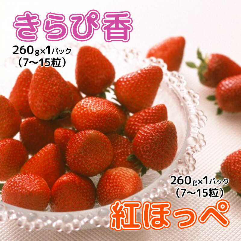 【ふるさと納税】【2024年1月中旬より順次発送】いちご 食べ比べ セット （きらぴ香 ・ 紅ほっぺ 270g×各1パック） 合計 2パック【配送不可：離島】　【 果物 フルーツ ジューシー 酸味少なめ 新品種 】　お届け：2024年1月中旬～2月下旬･･･