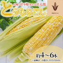 楽天静岡県浜松市【ふるさと納税】とうもろこし 品種： 甘々娘 または 甘太郎 春の『テルもろこし』約4～6本（6月中旬頃より順次発送）【配送不可：離島】　【 野菜 柔らかい 香ばしい 甘い レンジ調理 簡単 手軽 】　お届け：2024年6月中旬～2024年7月末予定