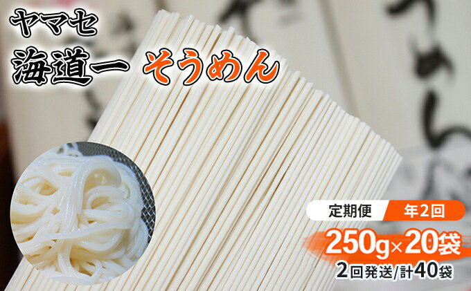 【ふるさと納税】【定期便 年2回】ヤマセ 海道一 そうめん 250g × 20袋（2回発送・計40袋）　【定期便・ 麺類 乾麺 夏 さっぱり お昼ごはん 昔ながらのそうめん 少し太め コシ 食べ物 食品 日持ち ストック 】