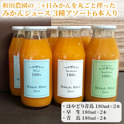 18位! 口コミ数「0件」評価「0」和田農園の三ヶ日みかんを丸ごと搾ったみかんジュース 3種アソート6本入り　【 果汁飲料 フルーツジュース 旬のみかん 爽やか 100％ストレ･･･ 