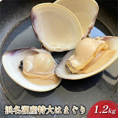 名称はまぐり内容量浜名湖産はまぐり特大1.2kg 原産地：浜松市 賞味期限：発送から冷蔵4日産地静岡県浜松市事業者有限会社山正水産配送方法冷蔵配送お届け時期～2024年7月上旬備考※画像はイメージです。 ※オンライン決済限定となります。 ※時期・個体により身入りが変わります事ご了承ください。 ※北海道・沖縄・離島へのお届けはできません。 ※直射日光、高温多湿を避けて保存してください。 ※開封後は冷蔵保存し、お早めにお召し上がり下さい。 ※賞味期限：発送から冷蔵4日 ・ふるさと納税よくある質問はこちら ・寄附申込みのキャンセル、返礼品の変更・返品はできません。あらかじめご了承ください。【ふるさと納税】浜名湖産 特大はまぐり 1.2kg【配送不可：北海道・沖縄・離島】　【たっぷり 栄養 貝柱 ぷりぷり 食感 美味しい】　お届け：～2024年7月上旬 【配送不可：北海道・沖縄・離島】 浜名湖は川から流れ込む淡水が海水と混ざるプランクトンの多い汽水湖です。 地下から汲み上げた豊富な浜名湖の海水でしっかりと砂出しした後の発送ですので水洗い後そのままお手軽にお使い頂けます。 寄附金の用途について 産業、雇用の創出 子育て、学力の支援 防災、防犯の強化 自然との共生、持続可能な社会の実現 健康づくりの推進、地域医療の充実 地域文化の創造、魅力発信 浜松市におまかせ 受領証明書及びワンストップ特例申請書のお届けについて 入金確認後、注文内容確認画面の【注文者情報】に記載の住所にお送りいたします。発送の時期は、入金確認後1～2週間程度を目途に、お礼の特産品とは別にお送りいたします。ワンストップ特例申請をご希望の場合、寄附翌年の1月10日まで（必着）に申請書が当庁まで届くように発送してください。お急ぎの場合、下記URLより申請書をダウンロード・印刷いただけます。https://event.rakuten.co.jp/furusato/guide/onestop/※ご自身で申請書等をダウンロードしてご提出後に、申請書等が届く場合がございますが、一度申請をいただいていれば再提出は不要です。