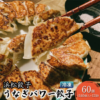 【ふるさと納税】浜松餃子 うなぎパワー餃子 60個（5個入×