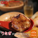 【ふるさと納税】浜松餃子 うなぎパワー餃子 60個(10個入×6袋) 【配送不可:離島】 餃子 ぎょうざ 冷凍 惣菜 冷凍餃子 新感覚 お酒が進む ご飯が進む 岩塩 うなぎスープが溢れ出す 贅沢 肝の歯ごたえ