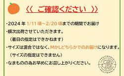 【ふるさと納税】【2024年1月中旬より順次発送】三ヶ日 みかん青島 約 4kg（サイズ：LまたはM）　【 果物 柑橘 フルーツ デザート 食後 産地直送 コク 適度な酸味 】　お届け：2024年1月中旬～2024年2月中旬･･･ 画像2