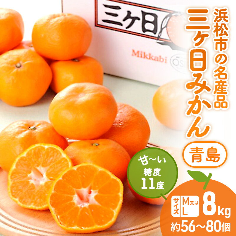 【ふるさと納税】三ヶ日みかん 青島 8kg M又はL 1月中旬より順次発送 みかん ミカン 蜜柑 青島みかん 三ヶ日 果物 くだもの フルーツ 旬の果物 旬のフルーツ 柑橘 柑橘類 糖度 静岡 静岡県 浜松市 お届け:2026年1月中旬~2月中旬
