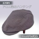 【ふるさと納税】遠州織物 癒しのアロエ染めハンチング(アロエ&ログウッド染め)