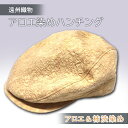 【ふるさと納税】遠州織物 癒しのアロエ染めハンチング(アロエ&柿渋染め)