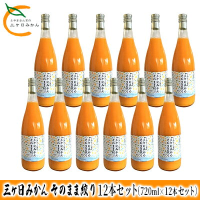 【ふるさと納税】三ヶ日みかん そのまま絞り 12本セット（720ml×12本セット） みかん ジュース 100%　【 果物 フルーツ 安全 おいしい 果肉 こだわり 酸味 濃厚 甘い 果汁飲料 無添加 子供 】