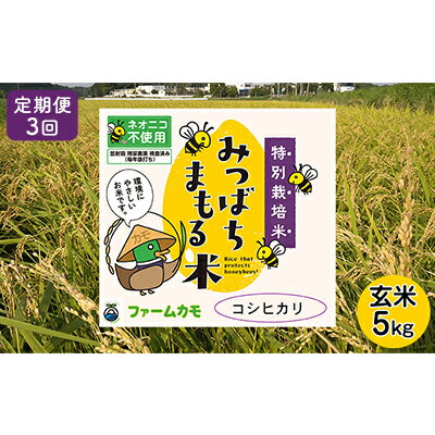 【ふるさと納税】【定期便3回】雄踏ファームカモ産　玄米「特選みつばちまもる米」5kg コシヒカリ（3ヶ月連続・合計15kg）　【定期便・ お米 ブランド米 ご飯 おにぎり お弁当 産地直送 1等米 】　お届け：2023年10月～2024年6月末