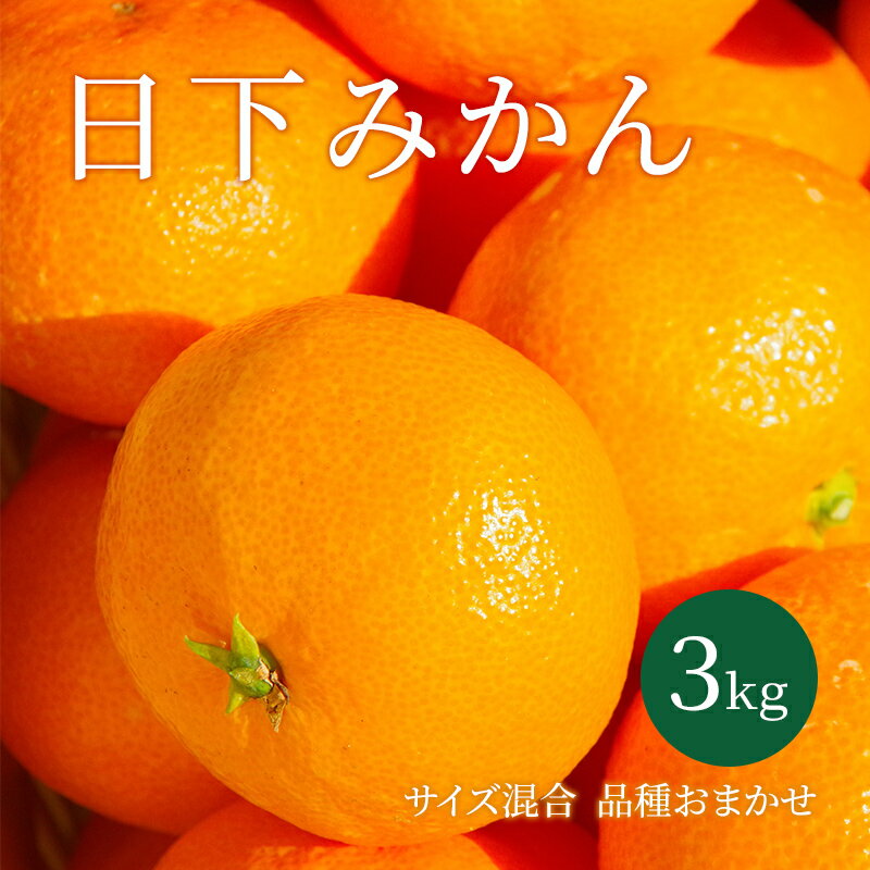 【ふるさと納税】【2024年10月以降順次発送】日下みかん サイズ混合 2S～2L 3kg 秀品　【 果物類 柑橘類 フルーツ 農薬 有機肥料 光センサー 高品質 おいしい 】　お届け：2024年10月～2025年1月末