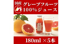 【ふるさと納税】浜松市産グレープフルーツ100%ストレートジュース「夕焼けルビー」180ml×5本　【 果汁飲料 飲み物 ソフトドリンク フルーツジュース 濃縮還元なし 】･･･ 画像1