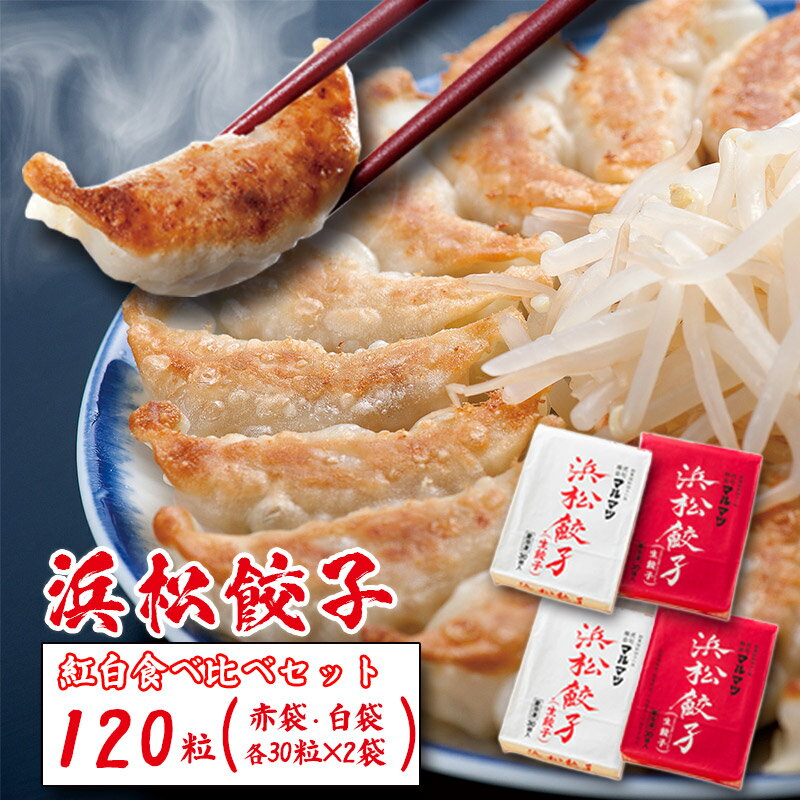 浜松餃子 120粒 2種味くらべ(定番の味60粒、スタミナ60粒)総重量2.4kg! [ 浜松市 ]