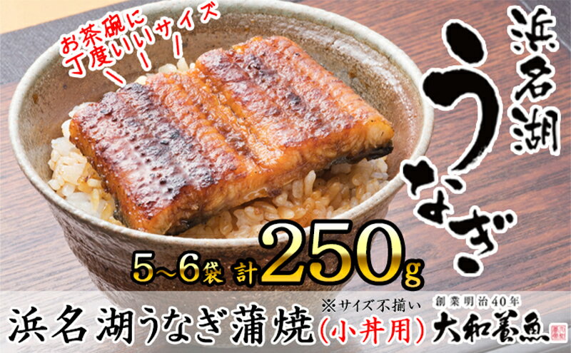 【ふるさと納税】浜名湖うなぎ蒲焼（小丼用）計250g 【訳あり】サイズ不揃い5～6袋　【 加工品 養殖 老舗 手焼き 蒲焼 百貨店 ギフト カット 湯せん レンジ 美味しい 冷凍 食べきり 便利 簡単 調理 】