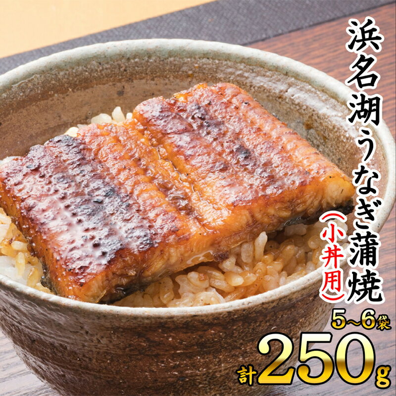 【ふるさと納税】浜名湖うなぎ蒲焼（小丼用）計250g 【訳あり】サイズ不揃い5～6袋　【 加工品 養殖 老舗 手焼き 蒲焼 百貨店 ギフト カット 湯せん レンジ 美味しい 冷凍 食べきり 便利 簡単 調理 】