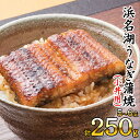 浜名湖うなぎ蒲焼（小丼用）計250g サイズ不揃い5～6袋　