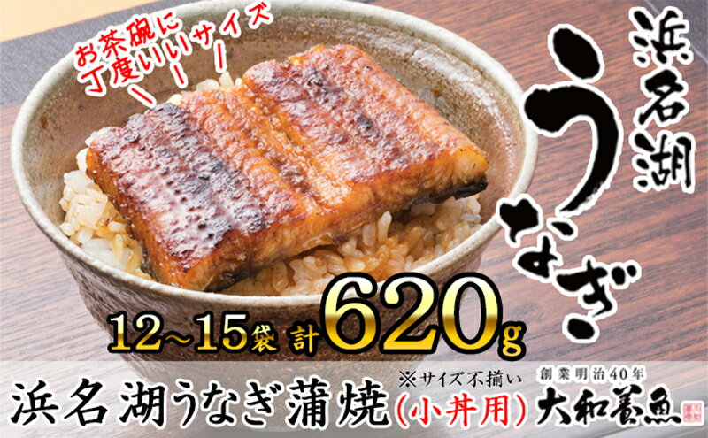 【ふるさと納税】浜名湖うなぎ蒲焼（小丼用）計620g 【訳あり】サイズ不揃い12～15袋　【 加工品 養殖 老舗 手焼き 蒲焼 百貨店 ギフト カット 湯せん レンジ 美味しい 冷凍 食べきり 便利 簡単 調理 】