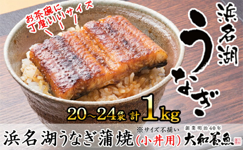 【ふるさと納税】浜名湖うなぎ蒲焼（小丼用）計1kg 【訳あり】サイズ不揃い20～24袋　【 加工品 養殖 老舗 手焼き 蒲焼 百貨店 ギフト カット 湯せん レンジ 美味しい 冷凍 食べきり 便利 簡単 調理 】