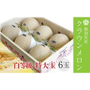 【ふるさと納税】クラウンメロン【並(白等級)】特大玉(1.5kg前後)6玉入り 果物 メロン青肉 フルーツ デザート 高級メロンブランド 高級メロン ブランドメ...
