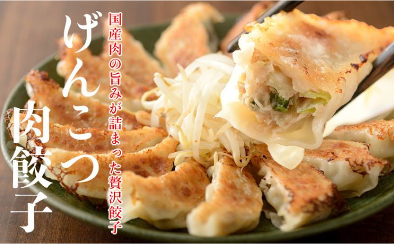 【静岡県浜松市】　【ふるさと納税】「浜松餃子」いえやす餃子 2種 100個セット【配送不可：離島】 惣菜 冷凍 冷凍餃子 食べ比べ あっさり 肉餃子 ジューシー おかず つまみ
