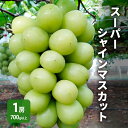 【ふるさと納税】ぶどうのおうち「スーパーシャインマスカット」1房700g以上【配送不可:離島】 お届け:2025年10月下旬〜11月中旬まで