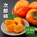 【ふるさと納税】先行予約 次郎柿 1.6kg 6〜8個 静岡県 浜松市 【2025年11月上旬より順次発送】 果物 くだもの フルーツ 柿 かき お届け:20...