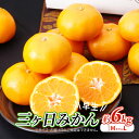 【ふるさと納税】【2025年11月中旬より順次発送】 三ヶ日みかん 早生 6kg M〜L 早生みかん みかん 蜜柑 ミカン 果物 くだもの 旬のフルーツ 旬の果...