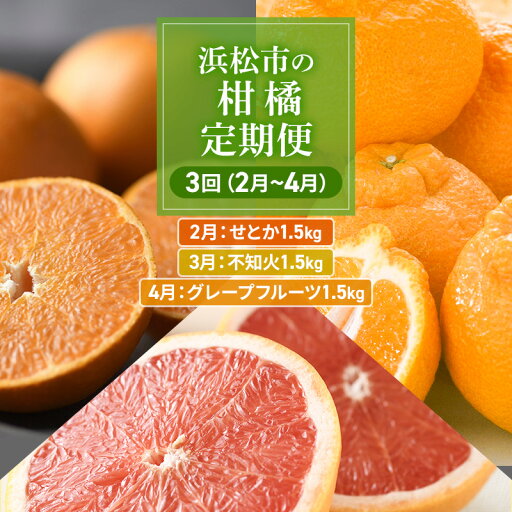 【ふるさと納税】【2026年2月上旬より発送】浜松市の柑橘定期便 3回(2月~4月)せとか・不知火・グレープフルーツ お届け:2026年2月上旬~2026年4月下旬 【ふるさと納税】【2026年2月上旬より発送】浜松市の柑橘定期便 3回(2月~4月)せとか・不知火・グレープフルーツ お届け:2026年2月上旬~2026年4月下旬