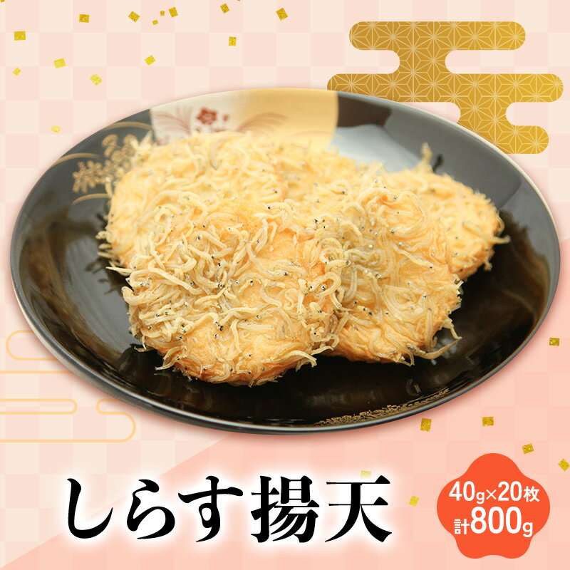 【ふるさと納税】しらす揚天 40g×20枚 計800g 国産 静岡県 練り物 おつまみ おでん 煮物 食材 料理 食品