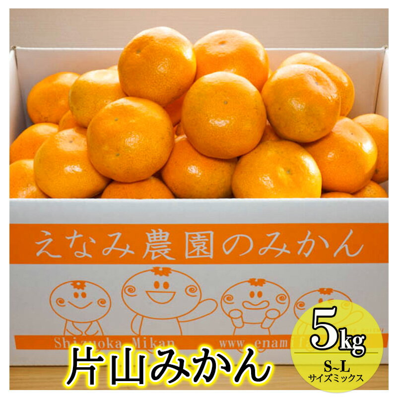 えなみ農園の片山みかん 5kg(S〜Lサイズミックス) お届け:2025年12月上旬〜2026年1月初旬まで