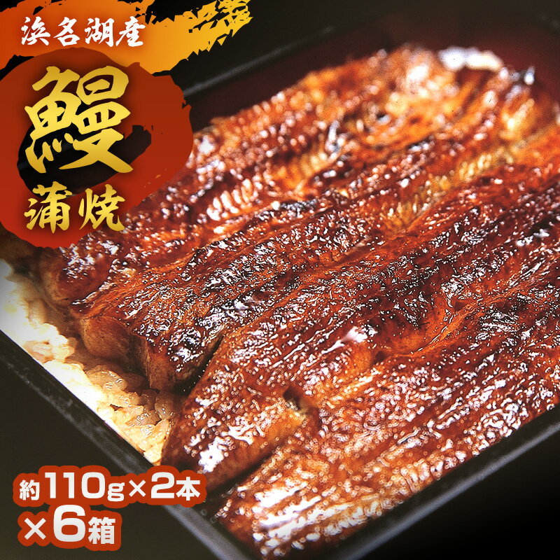 【ふるさと納税】浜名湖鰻蒲焼 約110g 2本×6箱 国産 浜松 鰻 父の日 母の日 土用の丑の日 和食 秘伝のたれ 伝統 炭火ふっくら 柔らか