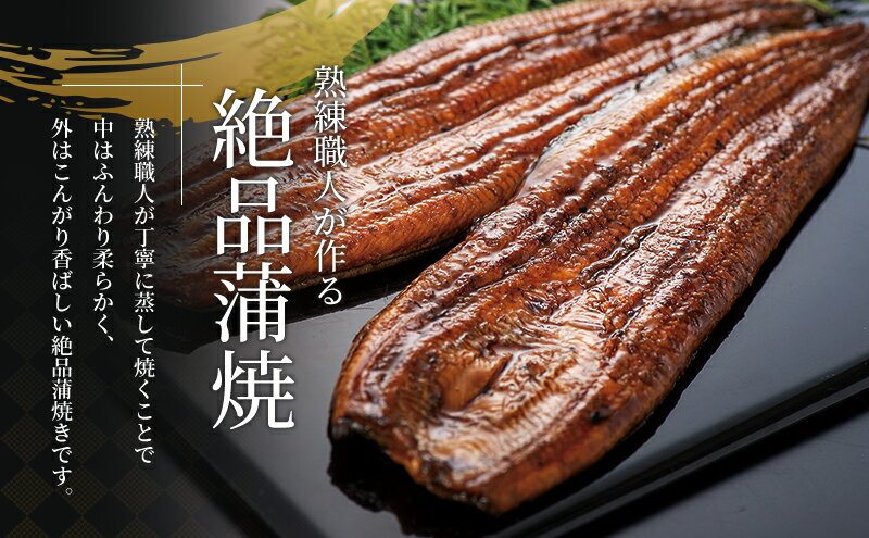 【ふるさと納税】国産 うなぎ 蒲焼き 6尾 (計660g) 浜名湖産 鰻 蒲焼 小分け 冷凍 浜松