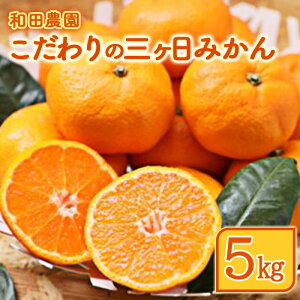 【ふるさと納税】【2025年11月上旬~発送】和田農園のこだわり三ヶ日みかん 5kg お届け:2025年11月10日~2026年2月15日
