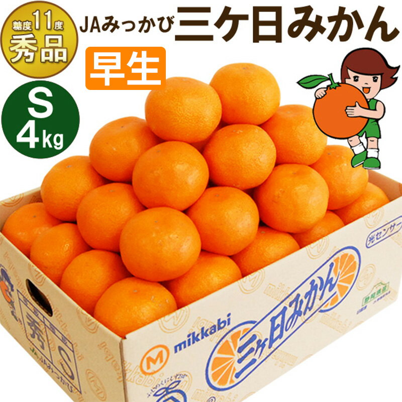 【ふるさと納税】三ケ日みかん 早生【秀品】Sサイズ4kg(48個前後) ミカン 果物 くだもの フルーツ 甘い 静岡県 浜松市 果物類 柑橘類 　お届け：2025年11月中旬～2025年12月中旬(4)
