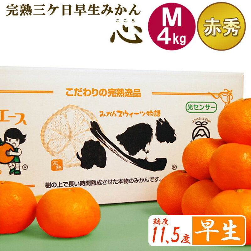【ふるさと納税】完熟三ヶ日早生みかん「心(こころ)」早生【赤秀品】Mサイズ4kg(36個前後) ミカン 果物 くだもの フルーツ 甘い 静岡県 浜松市 果物類 柑橘類 　お届け：2024年12月上旬～2024年12月中旬のサムネイル