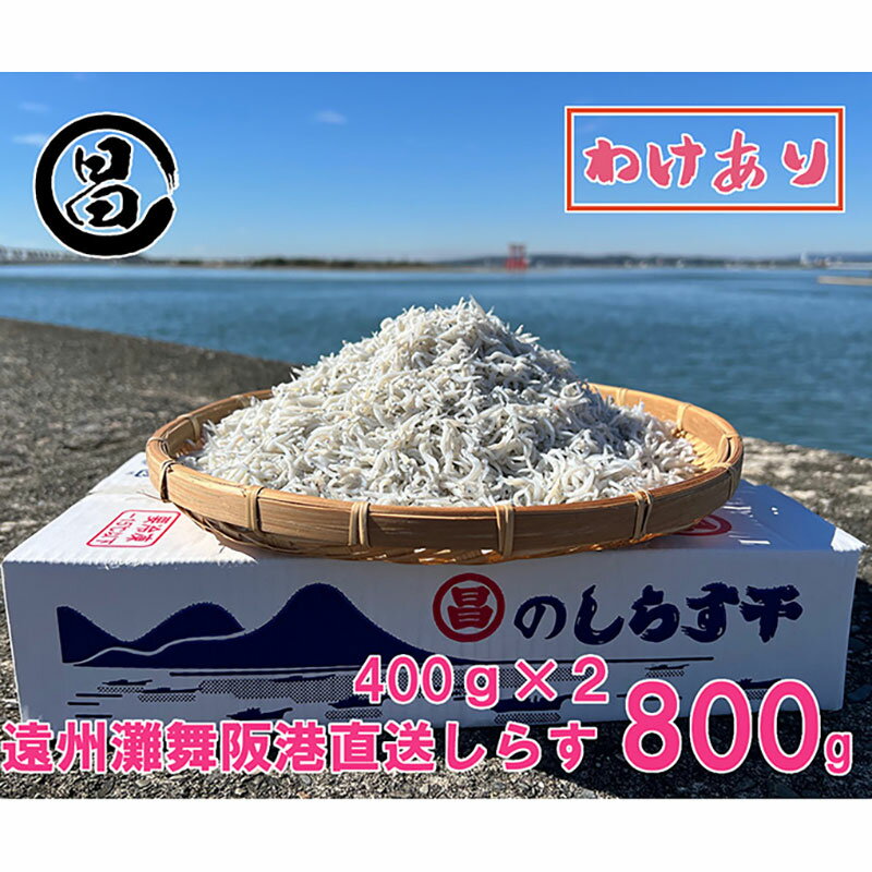 【ふるさと納税】わけあり しらす 遠州灘舞阪港直送 しらす干し 800g(400g×2袋) 冷凍 シラス 訳アリ 【配送不可:離島】 浜松市